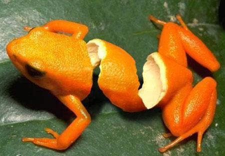 S'EST DROOOOOOOOOOOOOOOOOOOOOLE